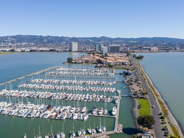 Taste of the Bay