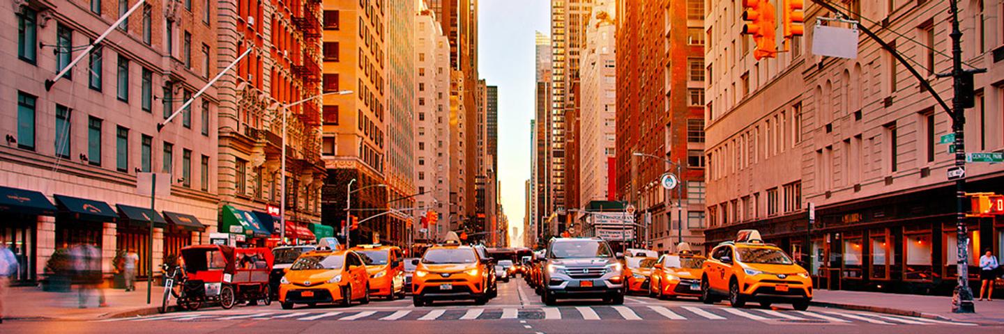 Page Banner
