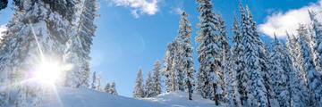 Page Banner