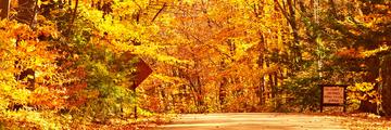 Page Banner
